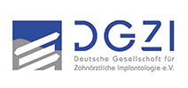 logo dgzi